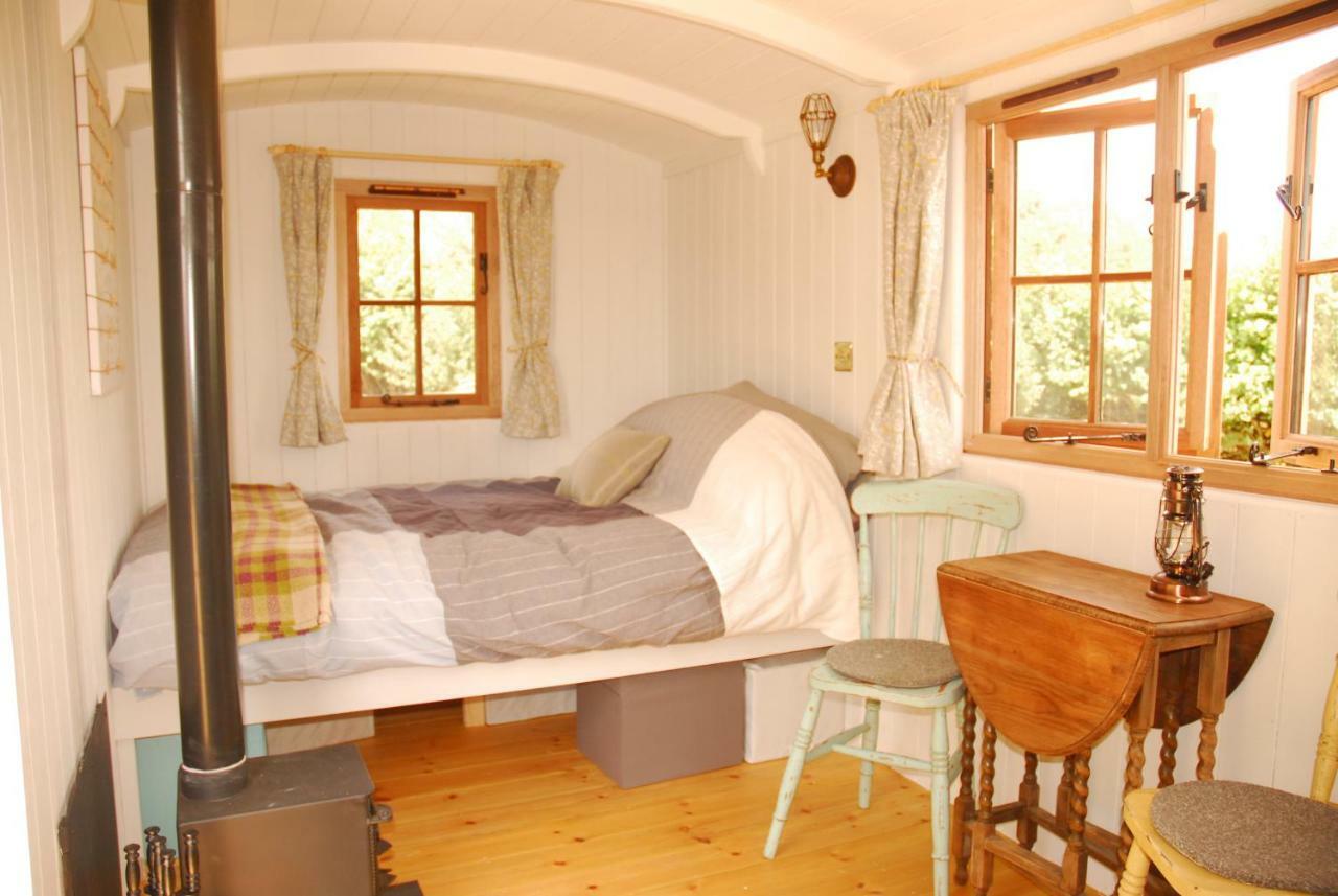Sindles Farm Bed & Breakfast เอมส์เวิร์ธ ภายนอก รูปภาพ